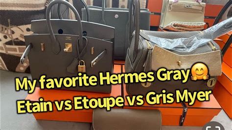 hermes birkin etain vs etoupe|gris meyer vs etain.